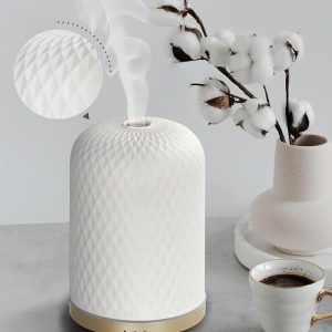 Ibp Humidifier Aromatherapy Machine