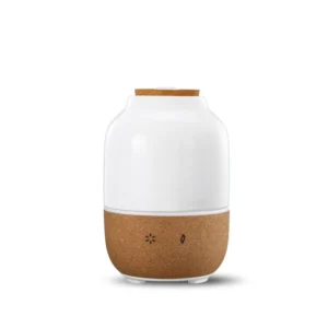 lbwy Humidifier Aromatherapy Machine